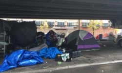 Homeless Solutions for Seattle