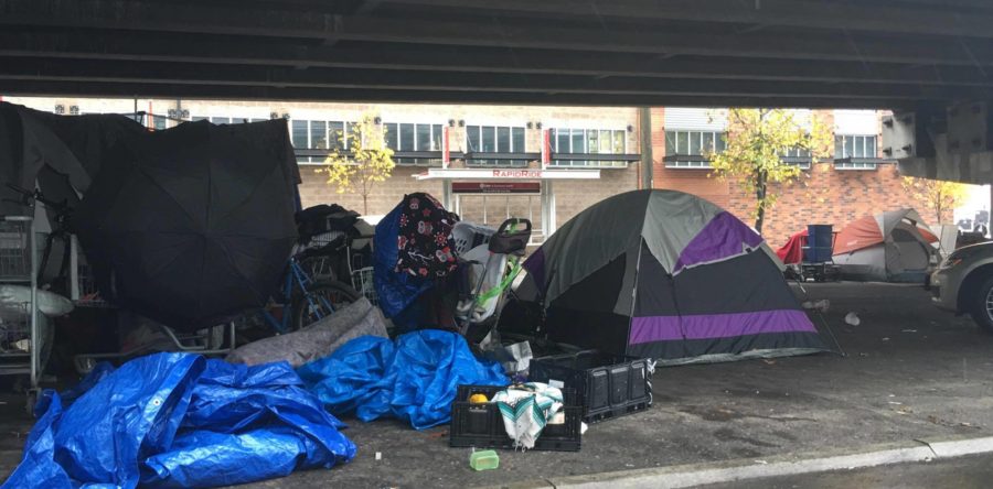 Homeless Solutions for Seattle